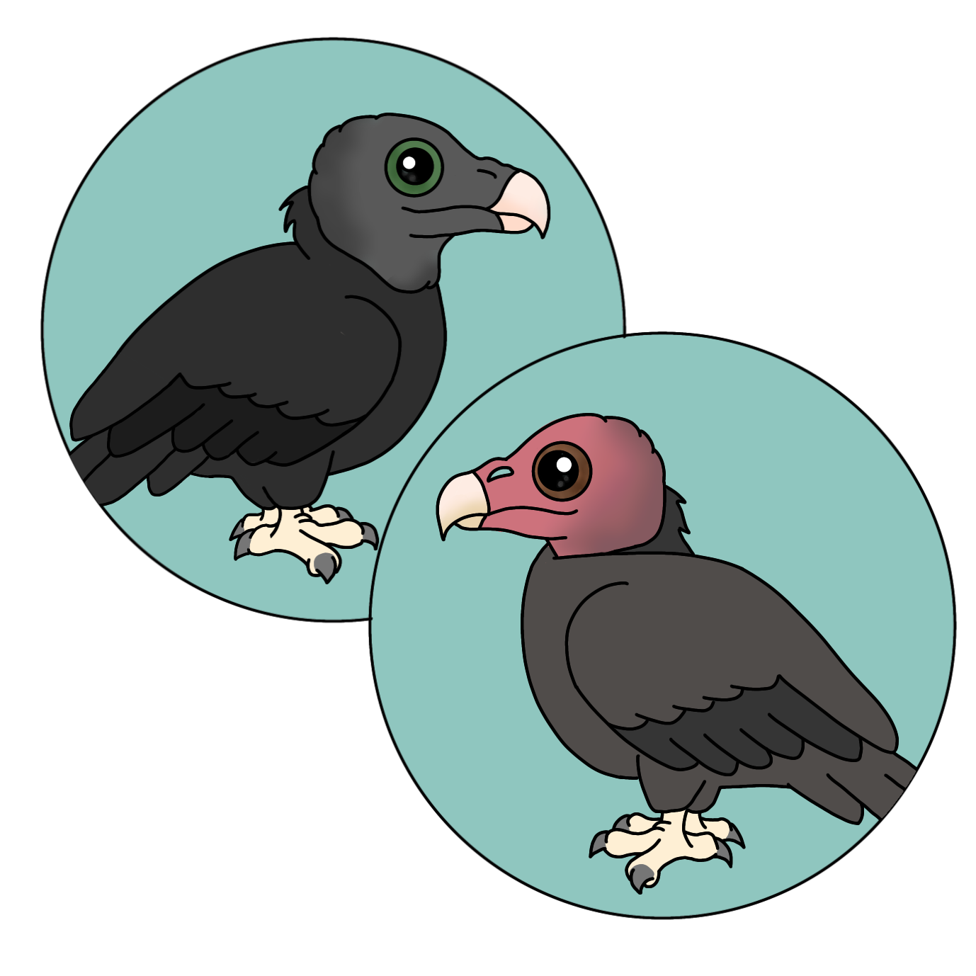 chibi picture of vultures
